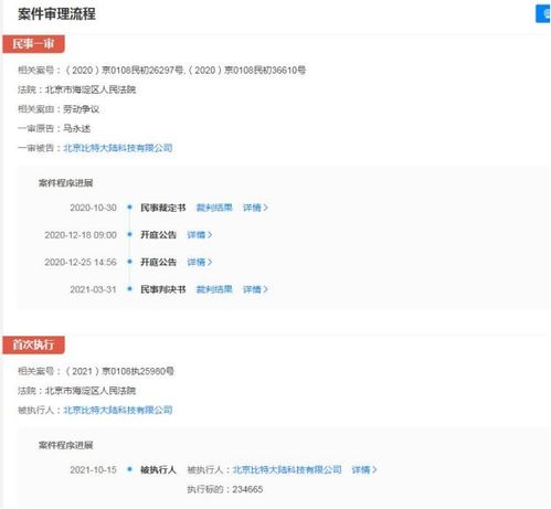 比特大陸關(guān)聯(lián)公司成被執(zhí)行人，執(zhí)行標(biāo)的超23萬元涉及軟件開發(fā)